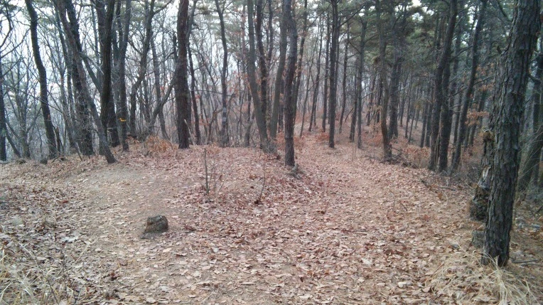 232BE24D58A7C31F099842