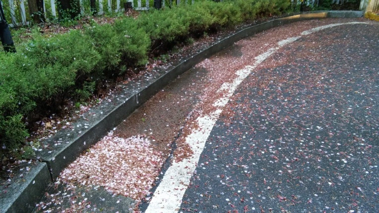 2226B84E5712CCAE2C9152