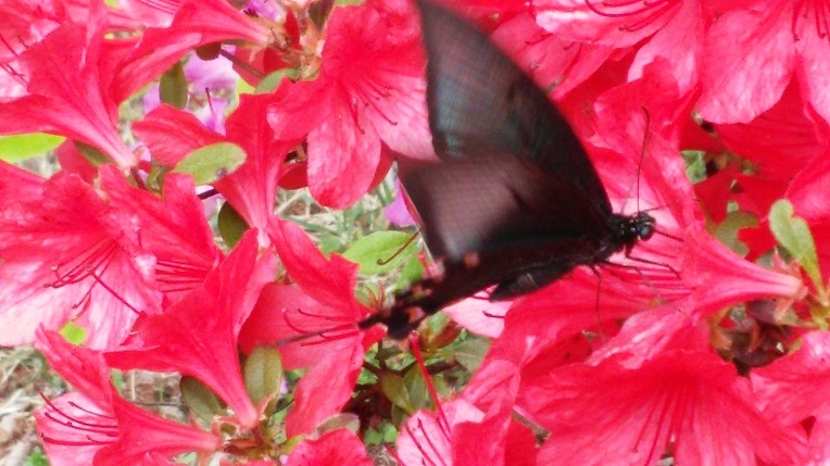 22426B34554DA1252A5F6C