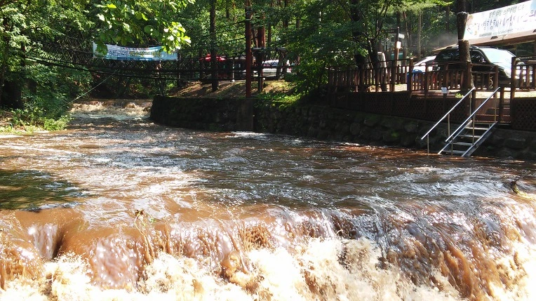 996B1C33598F7B5A18DA29