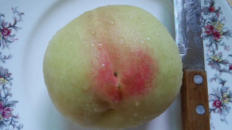 2552603657A277742AED25