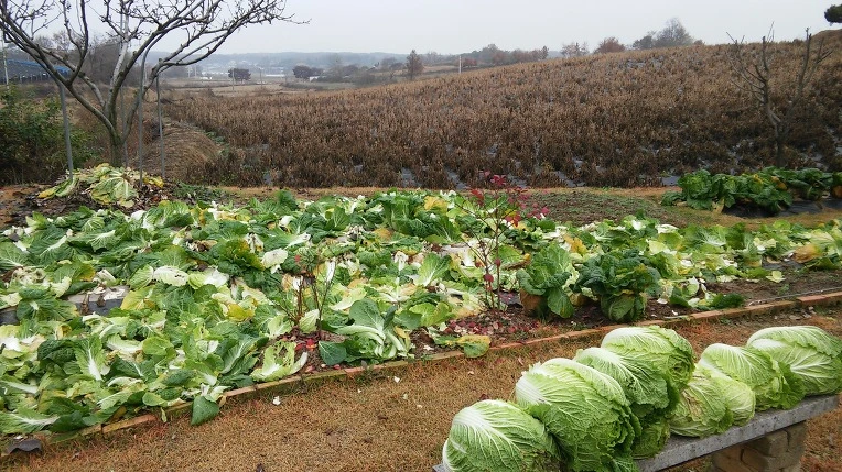 240B584856499A6605705A