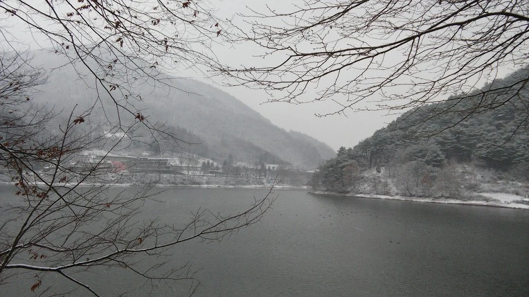 215142395656A50407ABF2