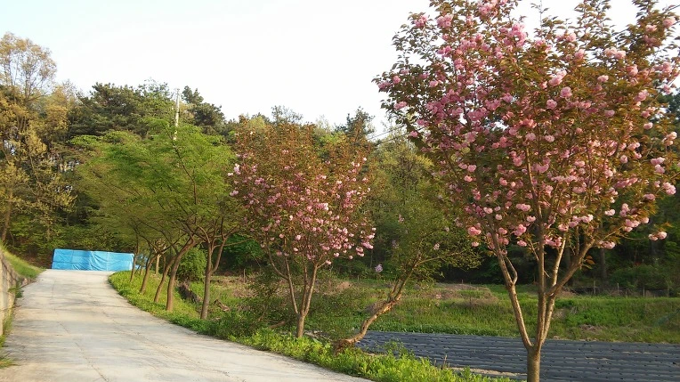 24743438571DF44310AAF6