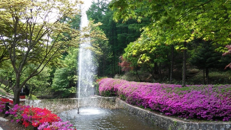 27447E46569A1DA222AB63