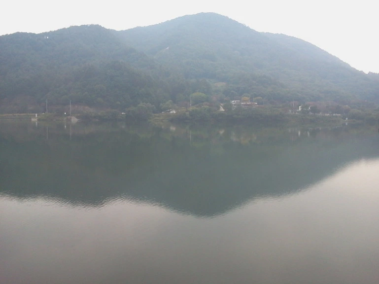 201D983E4E8DB5FD29C2A3