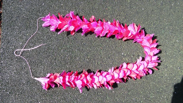 21258A4156528528175E41