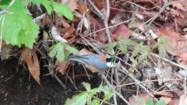 2257464F571AD0AE0E0DA8