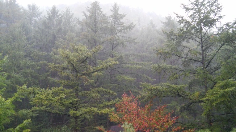 2618933B560D7F2A14BB99