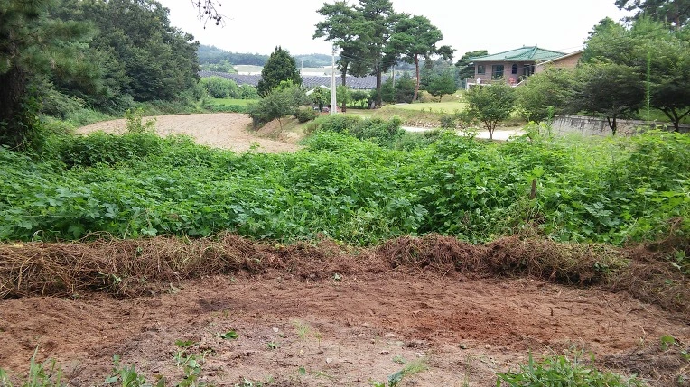 2530C24E57B92F0A372CFA