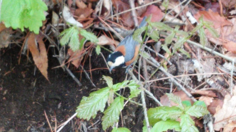 2239B44B571AD00D211A20