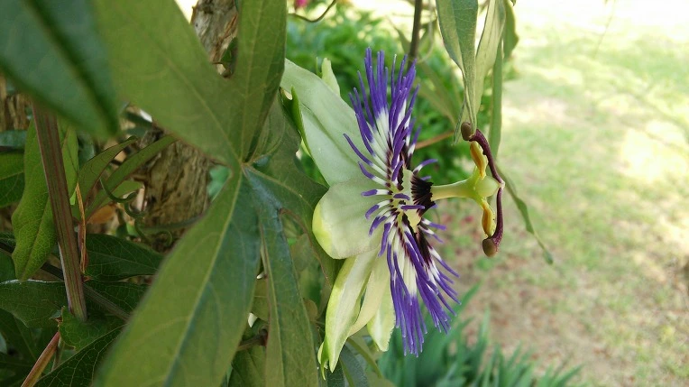 22264F44574D37ED3418A0