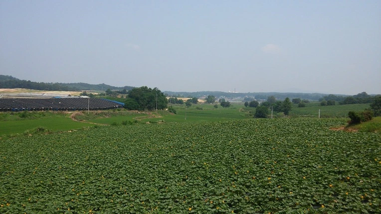 2435A34F5771F480021E4F