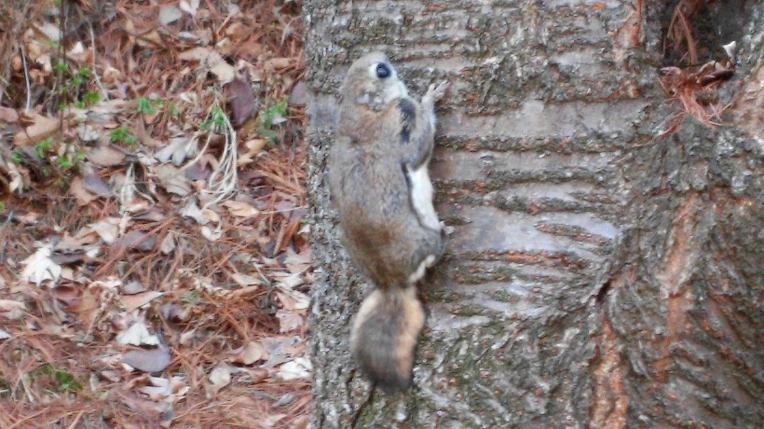 2323053C551F524B01B124