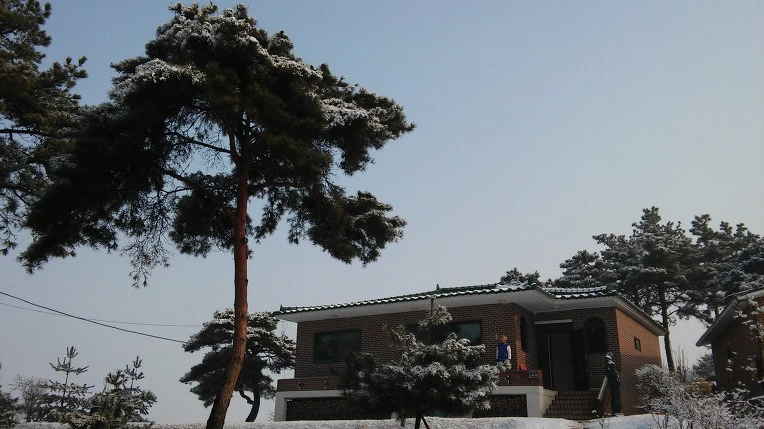 231DA84056D10AFF35A7AA