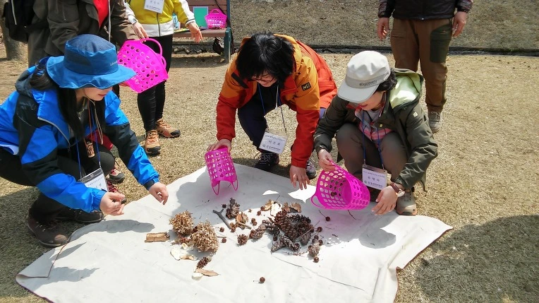 24400447570968353399D5