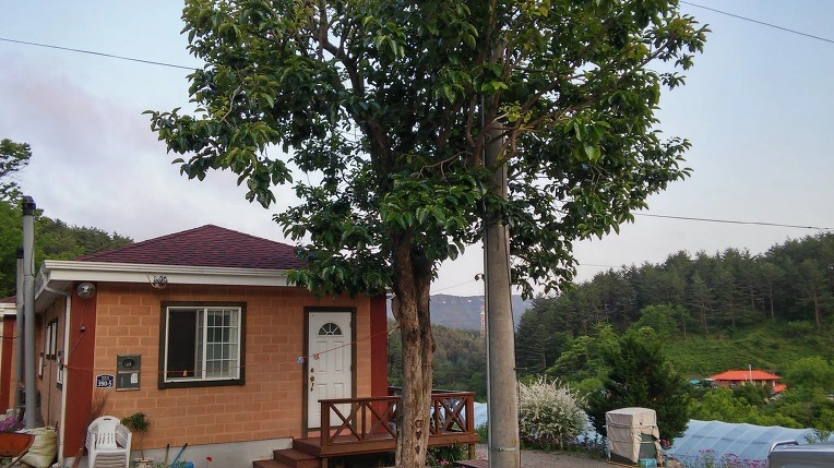 21302C33597136E1286B43