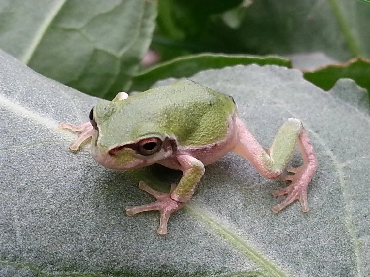 2455874756B024D401C0B8