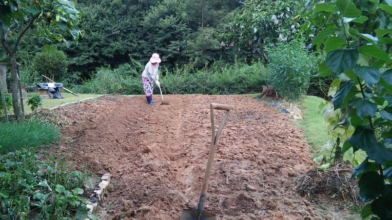 2307BA4557B922FF33A6A2