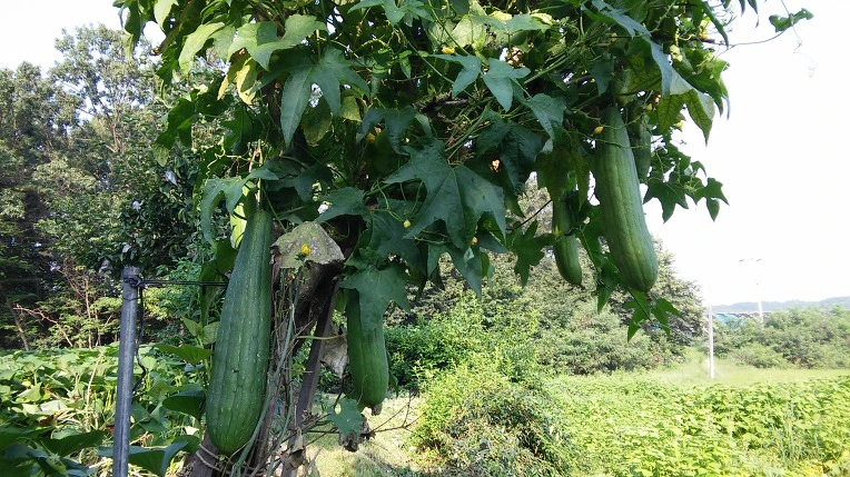 9933BA3359A7DCD00DF9A4