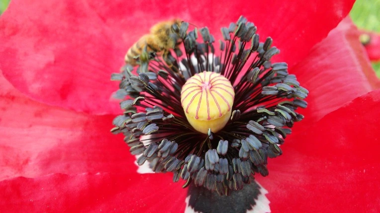 2609FF4F574D38C5223FB2