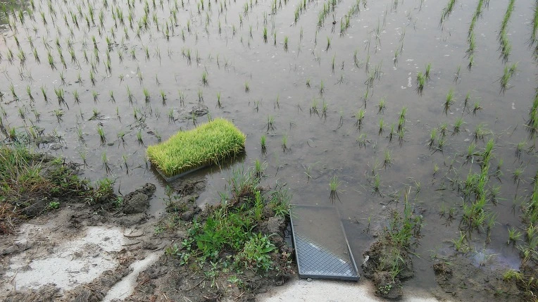 2134C0415746340C2C825D