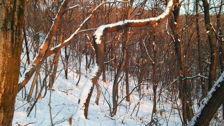 263DE33D5696EF32375C45