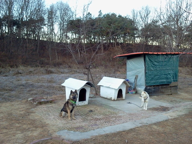 21613650547F911A0DFAFB