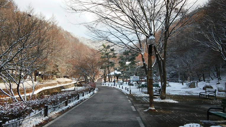 2549933A5656A5EA0CE3D7