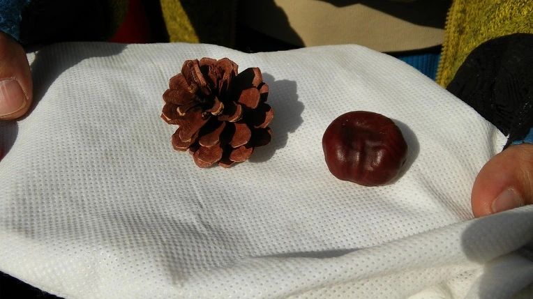 247D5D4F56FE1C2921560B