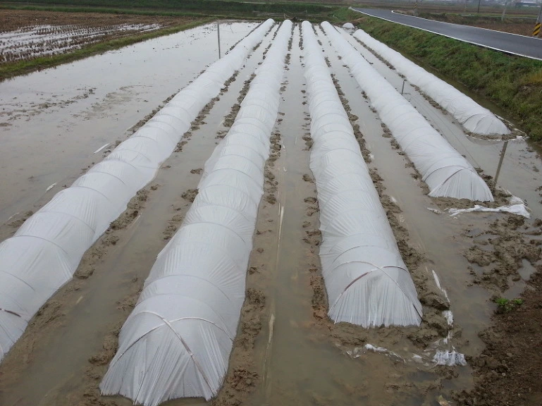 27316F35535114CC02D08C