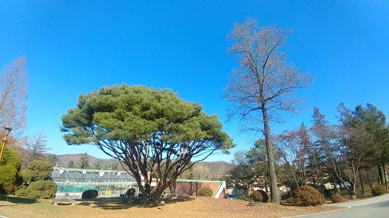 99E7A23E5C275B161AC47F