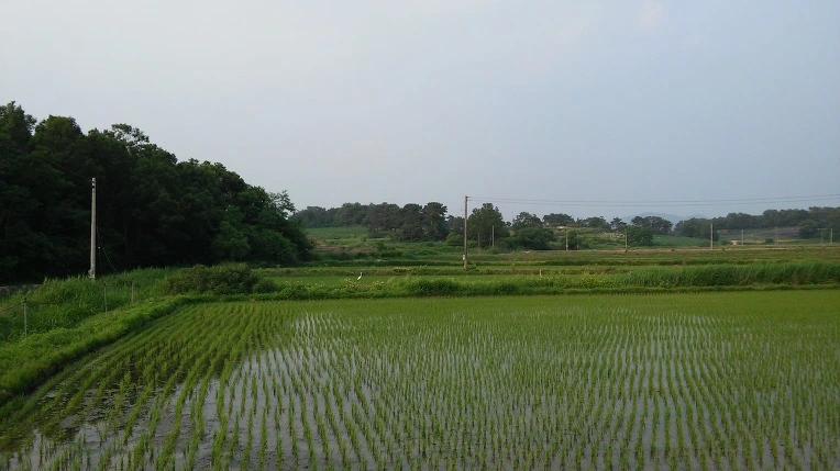 227C08465756172C0CCFB5