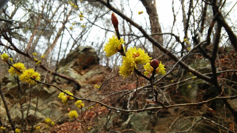 271FDC4058D755881FAE83