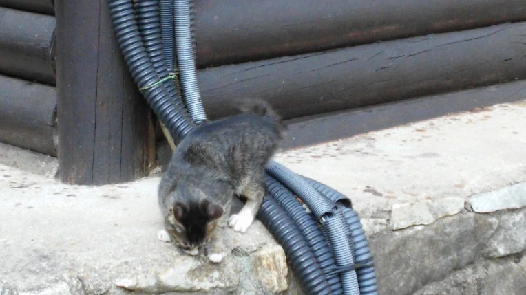 22570A3455FB6DE22DA0B5