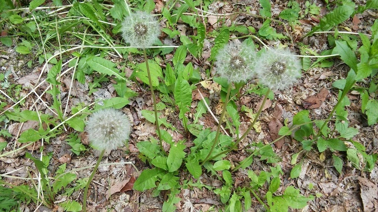 2524713C59290FEB286BC4