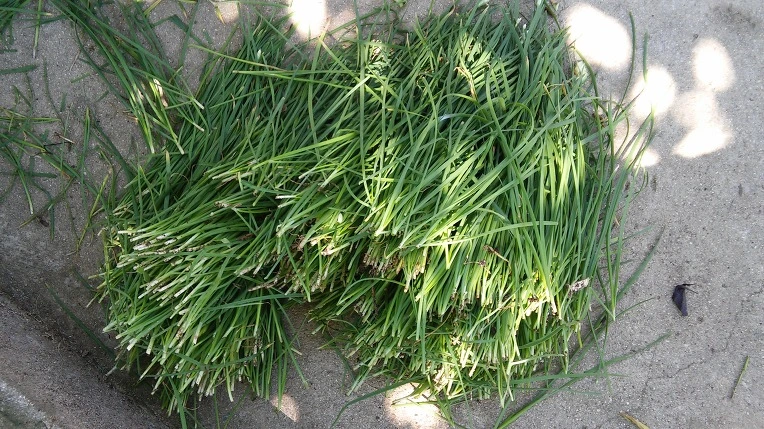 2116AC3957C0FA632DC283