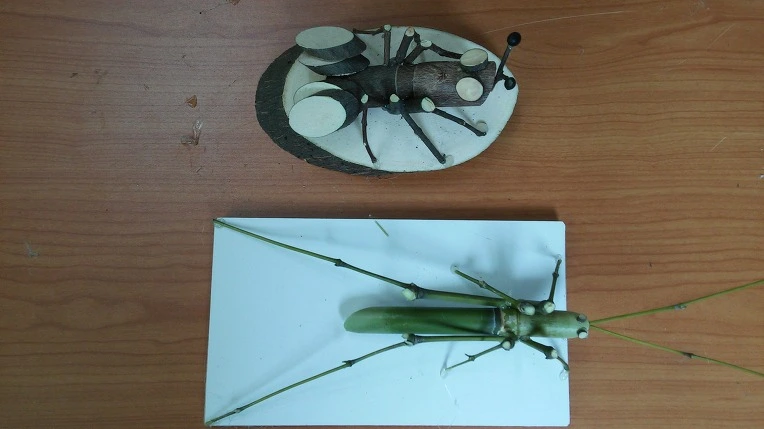 267F784A5724808C26E343