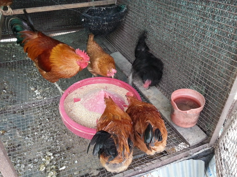 2628614A52D20F6809A545