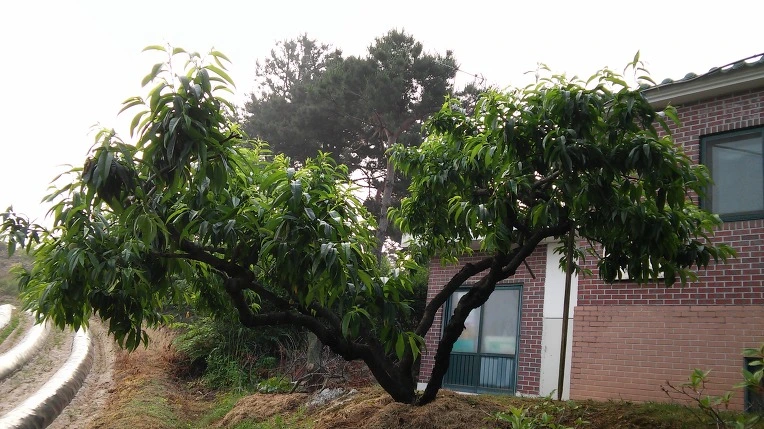 225F5B41574E511D2876FB