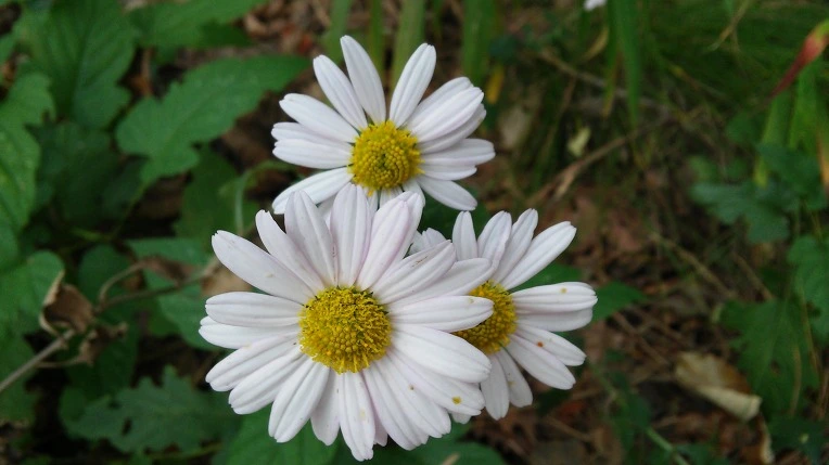 22294B3B5615C30D36E6D5