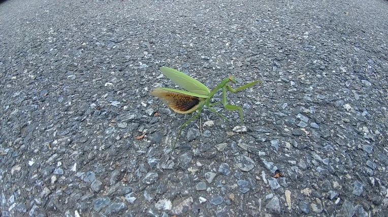 991EBD375B7CC10B2D0C30