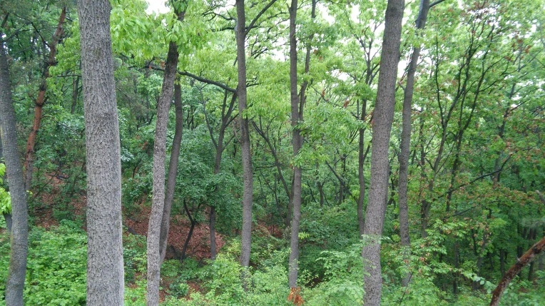 255F5C4C5731183020EDD1