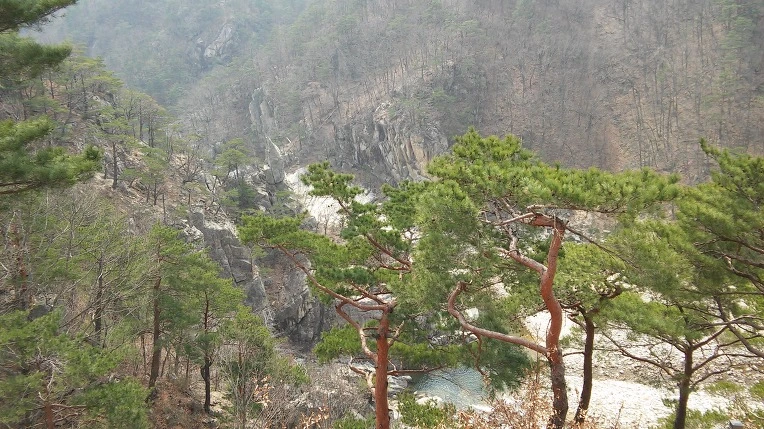 2534E84858D388F82E1F0B