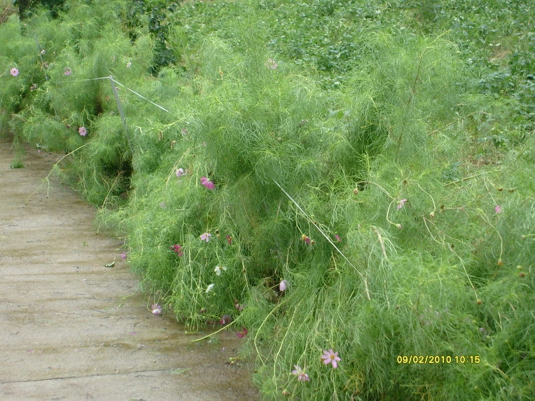 1816061A4CA5BE4B57D86A