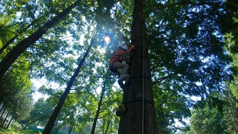 992F10385B57BE921F8DAA