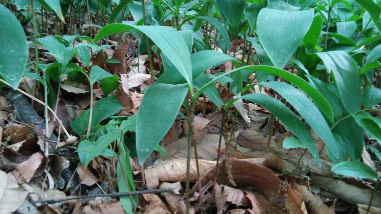 253C644B572FBDEB2CDF21