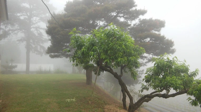 2201D5375747BA360C1DC3