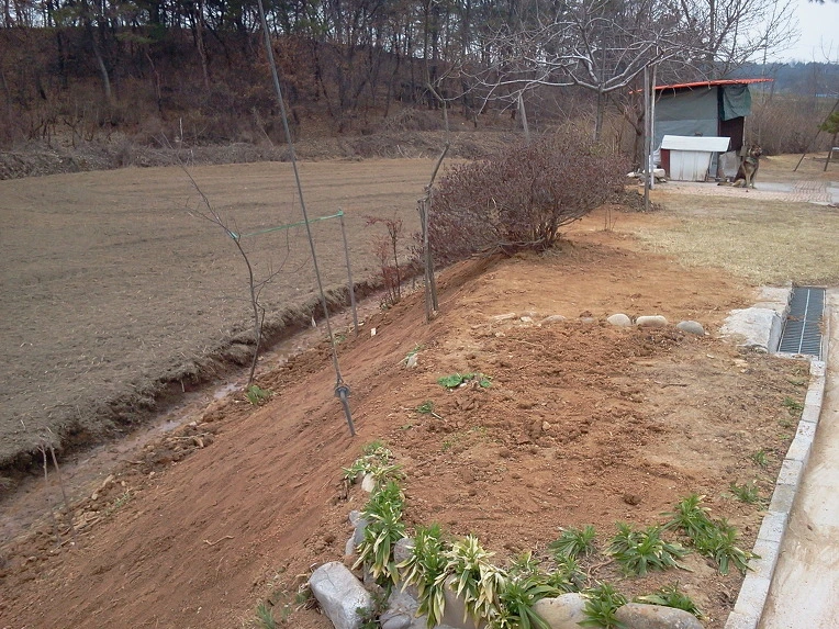 1212AE3A51578B262E5D8F