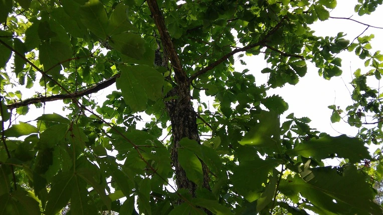 244E4B38592B40CF1E9523